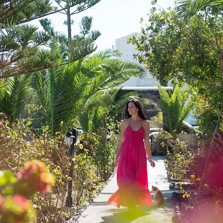 Aelia By Eltheon * イメロヴィグリ